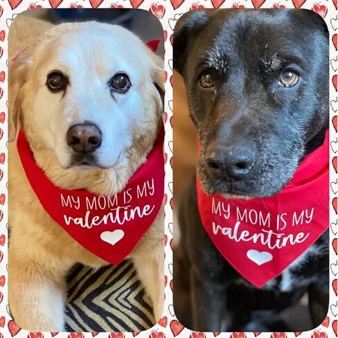 Valentines Day Dog Bandanas - My Mom is My Valentine Dog Scarf - 2 Pcs Adjustable Party Triangle Reversible Pet Bandanas for Small Medium Large Dogs in Saudi Arabia