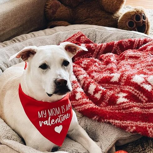 Valentines Day Dog Bandanas - My Mom is My Valentine Dog Scarf - 2 Pcs Adjustable Party Triangle Reversible Pet Bandanas for Small Medium Large Dogs in Saudi Arabia