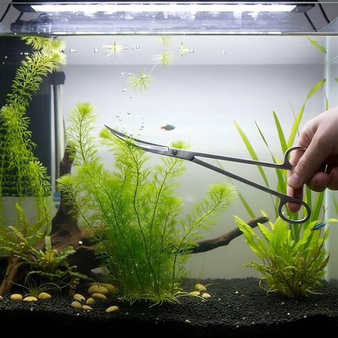 Long Aquarium Scissors for Plants 9.8 inches, Aquascaping Scissors Curved, Aquarium Plant Trimmer, Aquascape Tools, Terrarium Tools for Plants in Saudi Arabia