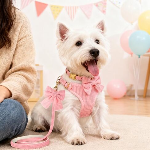 Cute Small Dog Collar Harness and Leash Set, Soft Adjustable No Choke Escape Proof Pet Harness Vest with Secure Metal Buckle, Breathable Soft Mesh Padded Dog Vest for Dogs Cats Pink Pack of 3 in Kuwait