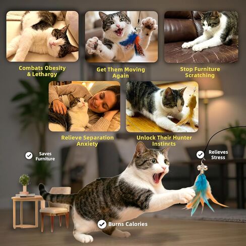 Upgraded Dual-Hole Suction Cup Cat Wand Toy - Single Base Holds 2 Steel Wire Wands - 9-Piece Interactive Teaser Set for Self-Play & Handheld, Perfect for Multi-Cat & High-Energy Kittens in Saudi Arabia