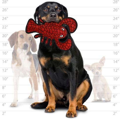 TUFFY - World's Tuffest Soft Dog Toy - Ocean Larry Lobster -Squeakers - Multiple Layers. Made Durable, Strong & Tough. Interactive Play (Tug, Toss & Fetch). Machine Washable & Floats. (Combo Pack) in Saudi Arabia