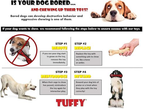 TUFFY - World's Tuffest Soft Dog Toy - Ocean Larry Lobster -Squeakers - Multiple Layers. Made Durable, Strong & Tough. Interactive Play (Tug, Toss & Fetch). Machine Washable & Floats. (Combo Pack) in Saudi Arabia