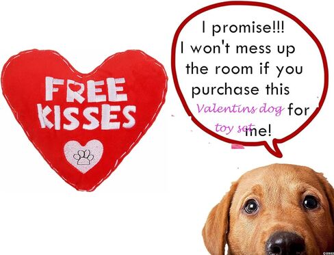 BoomBone Valentines Dog Toy, Plush Dog Squeak Toy, Heart Dog Toy for Small Medium Dogs in Kuwait