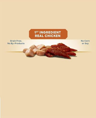 Golden|Rewards Chicken Jerky Dog Treats، كيس 16 أونصة، مصنوع من صدور الدجاج الصحية، قليل الدسم، خالي من الحبوب، بدون ألوان صناعية أو مواد حافظة، وجبة خفيفة ممتازة عالية البروتين للكلاب in Kuwait