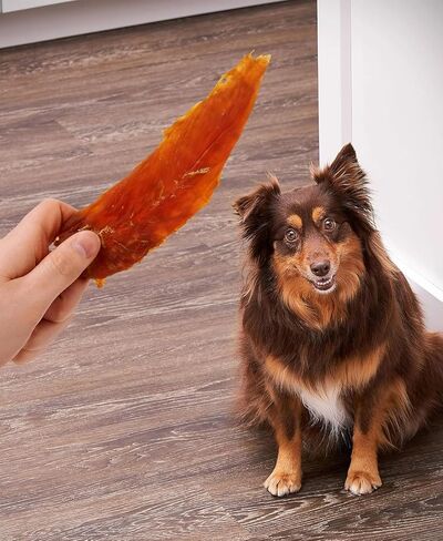 Golden|Rewards Chicken Jerky Dog Treats، كيس 16 أونصة، مصنوع من صدور الدجاج الصحية، قليل الدسم، خالي من الحبوب، بدون ألوان صناعية أو مواد حافظة، وجبة خفيفة ممتازة عالية البروتين للكلاب in Kuwait