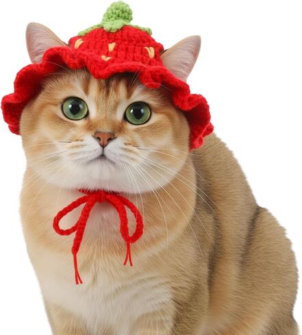 Strawberry Cat Hat Soft Polyester Cartoon Design Knit Cute Dog Hat Rabbit Hats Halloween Christmas Party Costume Head Wear Accessories for Puppy Cat Kitten Small Dogs Small Animals Pets Red (M) in Saudi Arabia
