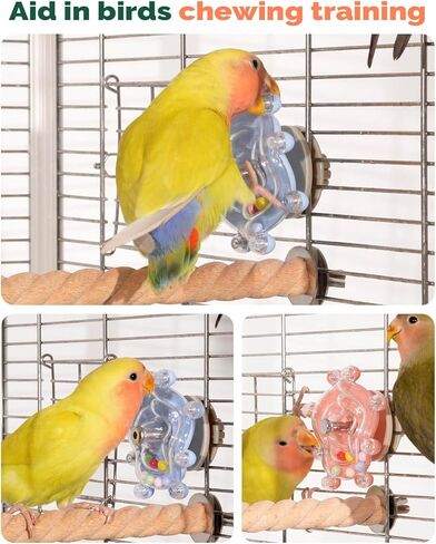 Bird Spinning Wheel Toy, Chewing Exerciser, Suitable for Budgies, Cockatiels, Lovebirds, Conures, Parakeets, and Other Small to Medium Birds (2 PCS - Fixed Mount) in Saudi Arabia