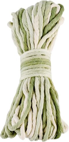 21.87 Yards Single Strand Macrame Cord 3.5mm Beadthoven Gradient Colored Soft Cotton Rope Yarn Colorful Bohemia Cotton Twine for DIY Crafts Knitting Crochet Wall Plant Hanger Home Decor Colorful in Saudi Arabia