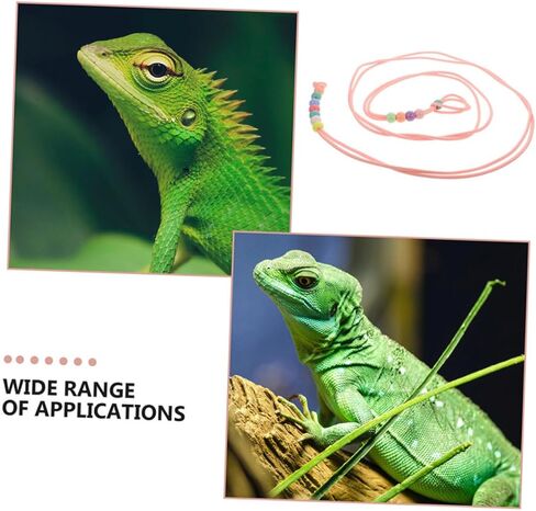 مجموعة 3 قطع من حزام ومقود الزواحف المضيئة القابلة للتعديل في الهواء الطلق للمشي على شكل سحلية للتنين الملتحي والحيوانات الأليفة الصغيرة، حزام محمول يتوهج في الظلام in Kuwait