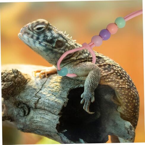 مجموعة 3 قطع من حزام ومقود الزواحف المضيئة القابلة للتعديل في الهواء الطلق للمشي على شكل سحلية للتنين الملتحي والحيوانات الأليفة الصغيرة، حزام محمول يتوهج في الظلام in Kuwait