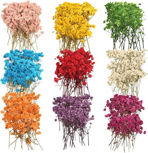 9 Pack Dried Flowers, Natural Pressed Flowers Kit for DIY Crafts, Scrapbook, Card Making,9 Colors in Saudi Arabia