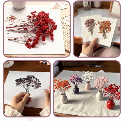 9 Pack Dried Flowers, Natural Pressed Flowers Kit for DIY Crafts, Scrapbook, Card Making,9 Colors in Saudi Arabia