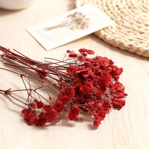 9 Pack Dried Flowers, Natural Pressed Flowers Kit for DIY Crafts, Scrapbook, Card Making,9 Colors in Saudi Arabia