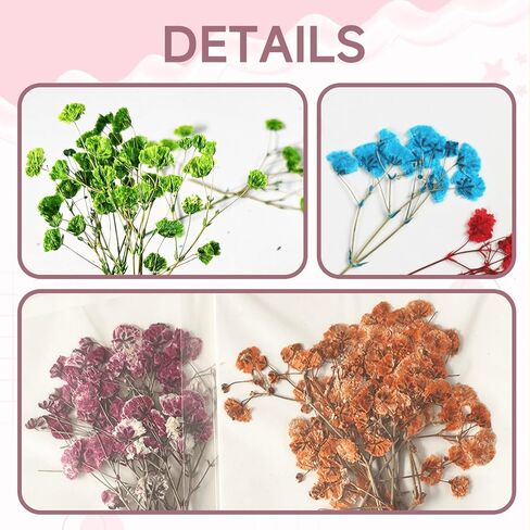 9 Pack Dried Flowers, Natural Pressed Flowers Kit for DIY Crafts, Scrapbook, Card Making,9 Colors in Saudi Arabia
