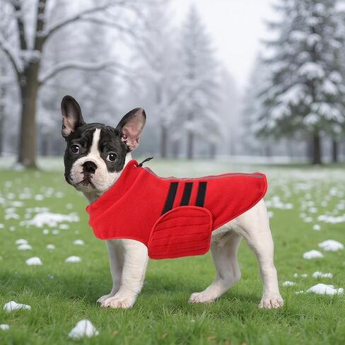 Geyecete Soft Dog Fleece French Bulldog Jacket معطف البلدغ الفرنسي عاكس معطف الشتاء للكلاب - سترة فرنسية مصغرة - مقاومة للطقس - أحمر - M in Saudi Arabia