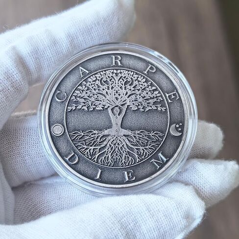 عملة تحدي Carpe Diem وMemento Mori - رمز من سبائك الزنك مقاس 1.57 بوصة لانعكاس الحياة والتحفيز in Kuwait