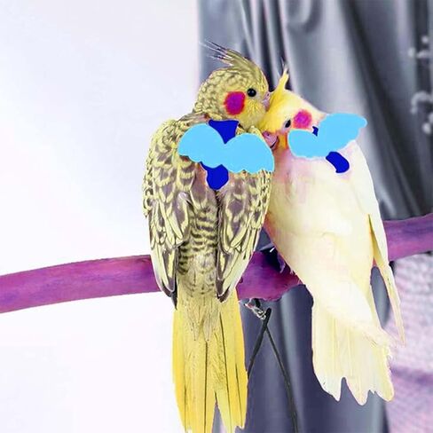 Adjustable Bird Harness for Parrots, Flight Training Leash for Safe Outdoor Activities in Saudi Arabia