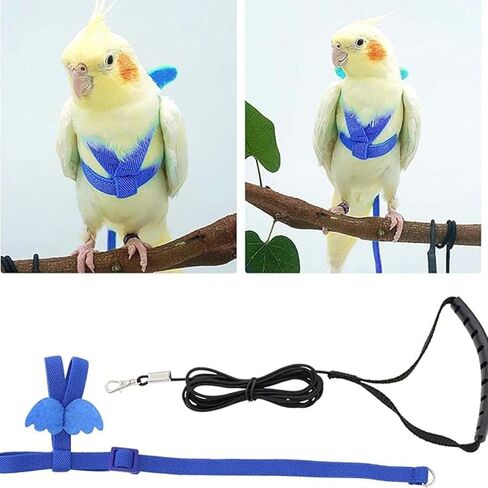 Adjustable Bird Harness for Parrots, Flight Training Leash for Safe Outdoor Activities in Saudi Arabia