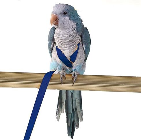 Adjustable Bird Harness for Parrots, Flight Training Leash for Safe Outdoor Activities in Saudi Arabia