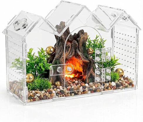 Jumping Spider Enclosure with Magnetic Front Door & Ventilation - 9.5"x3.9"x6.7" Acrylic Terrarium Habitat for Tarantulas, Mantis, Geckos & Reptiles in Saudi Arabia