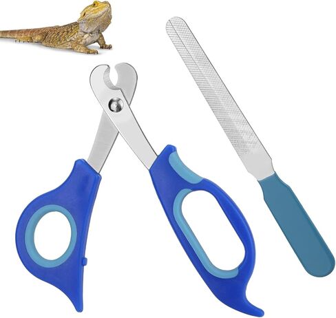 Bearded Dragon Nail Clippers and File, Stainless Steel Small Animal Toe Nail Trimmer Scissors Professional Grooming Pet Tool for Reptiles Turtle Chameleon Iguana (Blue) in Saudi Arabia