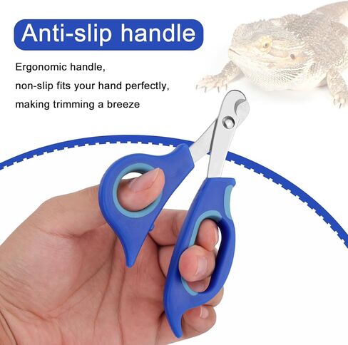 Bearded Dragon Nail Clippers and File, Stainless Steel Small Animal Toe Nail Trimmer Scissors Professional Grooming Pet Tool for Reptiles Turtle Chameleon Iguana (Blue) in Saudi Arabia