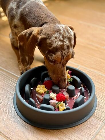 Slow Mo Bowl | Slow Feeder Dog Bowl for Fast Eaters, Improves Digestion & Reduces Bloating, Fun Interactive Design, & Dishwasher Safe | Kubi Pets in Saudi Arabia