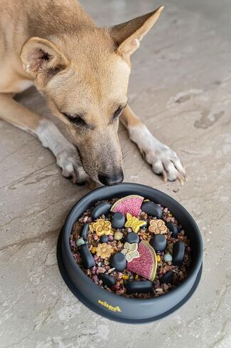 Slow Mo Bowl | Slow Feeder Dog Bowl for Fast Eaters, Improves Digestion & Reduces Bloating, Fun Interactive Design, & Dishwasher Safe | Kubi Pets in Saudi Arabia