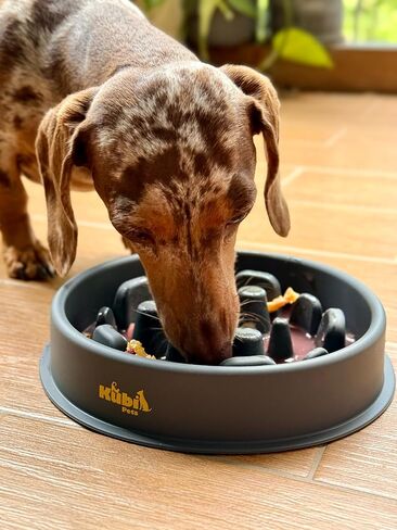 Slow Mo Bowl | Slow Feeder Dog Bowl for Fast Eaters, Improves Digestion & Reduces Bloating, Fun Interactive Design, & Dishwasher Safe | Kubi Pets in Saudi Arabia