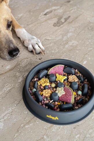 Slow Mo Bowl | Slow Feeder Dog Bowl for Fast Eaters, Improves Digestion & Reduces Bloating, Fun Interactive Design, & Dishwasher Safe | Kubi Pets in Saudi Arabia