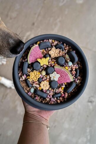Slow Mo Bowl | Slow Feeder Dog Bowl for Fast Eaters, Improves Digestion & Reduces Bloating, Fun Interactive Design, & Dishwasher Safe | Kubi Pets in Saudi Arabia