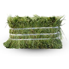 Border Valley Timothy Hay Bale in Bag, 40 lb - High Fiber Grass Hay for Rabbits, Guinea Pigs, Chinchillas, Tortoises, Horses and Livestock - Classic Coarse Grass Hay, Farm-to-Home Freshness in Kuwait