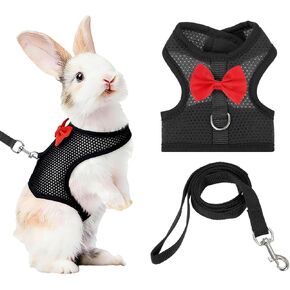 حزام ومقود أرنب، حزام صدرية لطيف للحيوانات الأليفة الصغيرة، مقود ناعم بإبزيم قابل للتعديل، شبكة قابلة للتنفس (M، أزرق سماوي) للأرنب والقطط الصغيرة والخنازير الصغيرة والتخييم والتدريب على المشي لمسافات طويلة in Kuwait