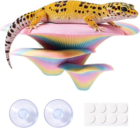 Mushroom Reptile Tank Decor, Mushroom Climbing and Resting Platform Habitat for Tree Frog Terrarium, Reptile Ledge for Leopard Gecko, Lizards, Fish, Turtle, Hermit Crab (Colorful) in Saudi Arabia