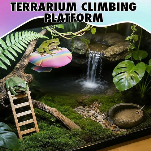 Mushroom Reptile Tank Decor, Mushroom Climbing and Resting Platform Habitat for Tree Frog Terrarium, Reptile Ledge for Leopard Gecko, Lizards, Fish, Turtle, Hermit Crab (Colorful) in Saudi Arabia