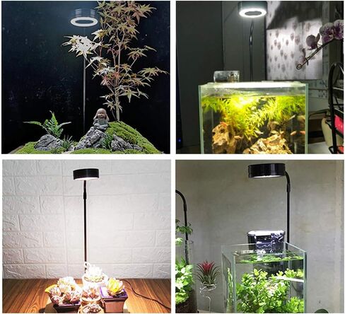 ضوء حوض السمك LED كامل الطيف، ضوء LED قابل للتعديل 360 درجة مع لوح الخيزران، مصباح يعمل بمنفذ USB للمناظر الطبيعية المصغرة للنباتات وخزان الأسماك والنباتات في أصص (الحجم: S) in Kuwait