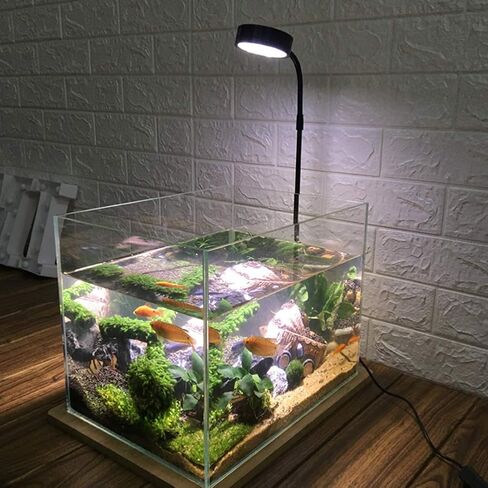 ضوء حوض السمك LED كامل الطيف، ضوء LED قابل للتعديل 360 درجة مع لوح الخيزران، مصباح يعمل بمنفذ USB للمناظر الطبيعية المصغرة للنباتات وخزان الأسماك والنباتات في أصص (الحجم: S) in Kuwait