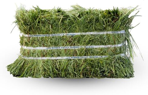 بوردر فالي تيموثي هاي بالة في حقيبة، 40 رطل - قش عشبي عالي الألياف للأرانب وخنازير غينيا والشنشيلا والسلاحف والخيول والماشية - قش العشب الخشن الكلاسيكي، نضارة من المزرعة إلى المنزل in Kuwait