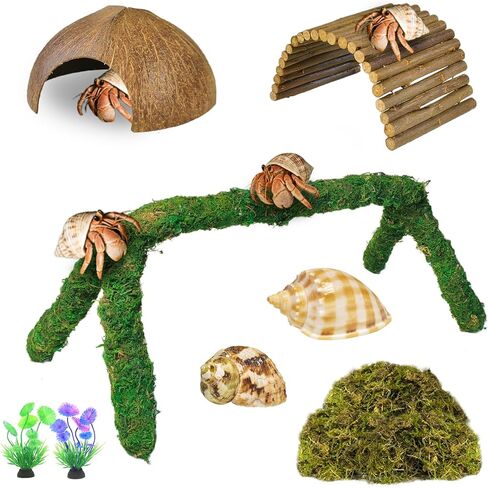 kathson Hermit Crab Accessories, Hermit Crab Climbing Toys, Adjustable Natural Moss Habitat Decor with Bendable Bridge & Coconut Shells for Reptile Amphibians Tank Accessories in Saudi Arabia