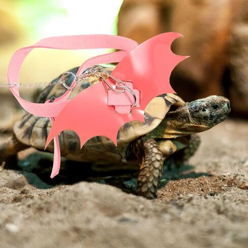 DOITOOL Turtle Harness Leash for Small Tortoises Portable Adjustable Walking Rope with Vest Strap Outdoor Pet Control Rope for Reptile Transport in Saudi Arabia
