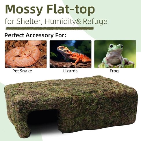 مخبأ الكهف المطحلب للزواحف، مخبأ السحلية باللون الأصفر مع مأوى آمن، كوخ كهف الثعبان لتررم تحت عنوان مثالي لثعبان أبو بريص الهامستر للراحة والاختباء in Kuwait