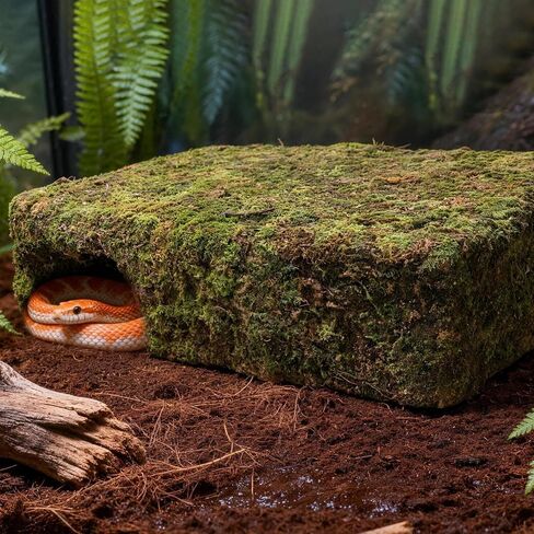 مخبأ الكهف المطحلب للزواحف، مخبأ السحلية باللون الأصفر مع مأوى آمن، كوخ كهف الثعبان لتررم تحت عنوان مثالي لثعبان أبو بريص الهامستر للراحة والاختباء in Kuwait