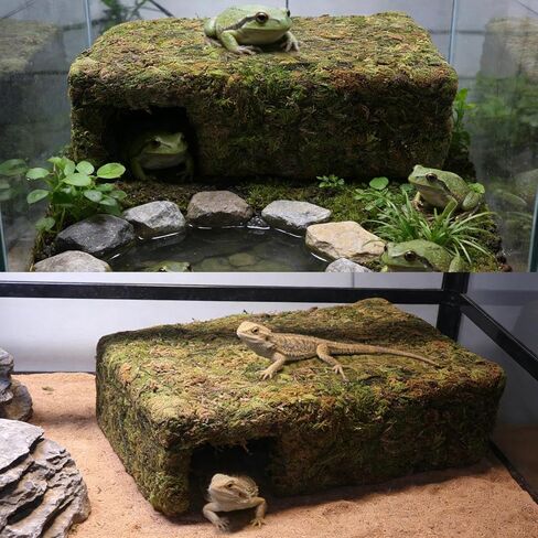 مخبأ الكهف المطحلب للزواحف، مخبأ السحلية باللون الأصفر مع مأوى آمن، كوخ كهف الثعبان لتررم تحت عنوان مثالي لثعبان أبو بريص الهامستر للراحة والاختباء in Kuwait