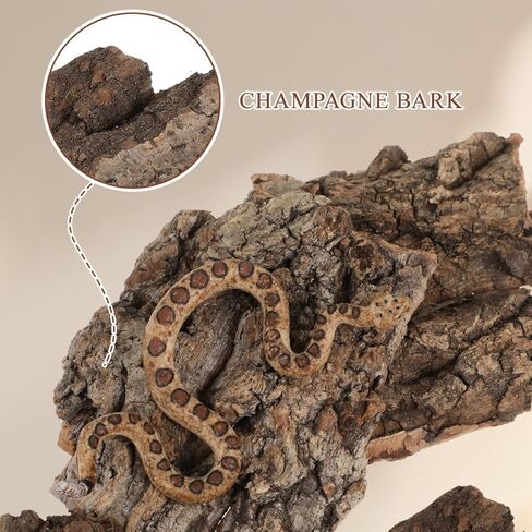 DOITOOL 4 قطع لحاء الفلين للزواحف، مسطحات الفلين لحاء الزواحف لخلفية Terrarium، تسلق حصيرة ديكور الموائل للعنكبوت السحلية الحرباء السلحفاة تحمل التنين in Kuwait