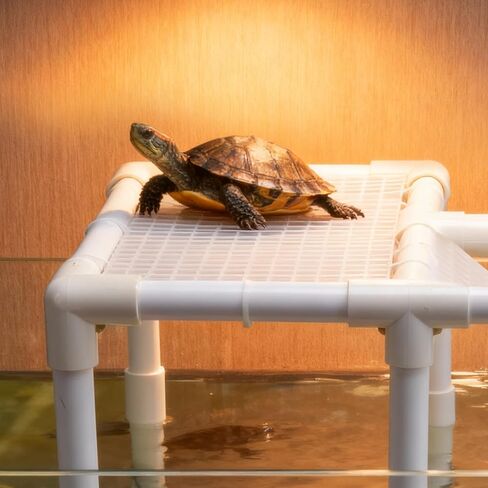 QUINTARA Extra-Large Aquatic Turtle Basking Platform & Sunbathing Dock - Elevated Basking Loft | Adjustable PVC Mount for Tanks ≥14", Non-Slip, Easy Assembly in Saudi Arabia