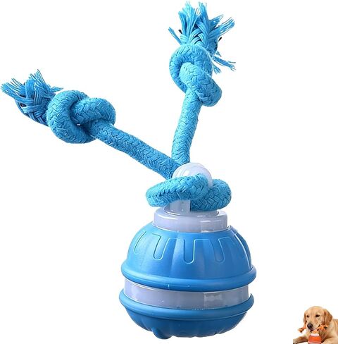 Interactive Dog Toys,Upgraded Motion Activated Rolling Dog Ball Toy for Small/Medium Dogs,Smart Automatic Rolling Toy with USB Rechargeable,Interactive Dog Balls(2PCS) in Saudi Arabia