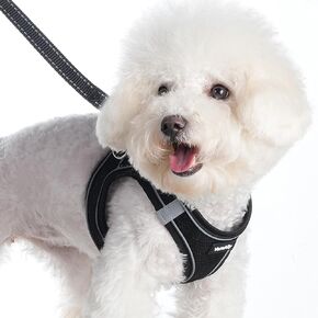 Sparkly Dog Harness Small Sized and Leash Set for Small Dogs Cats,Black S Puppy Harness, Step in Soft Dog Reflective Vest, Breathable Mesh Pet Harness. (Black, S) in Kuwait