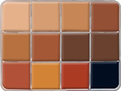 PPI Skin Illustrator On Set Dark Flesh Tone Makeup Palette in Saudi Arabia