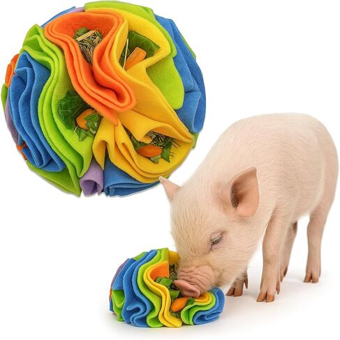 كرة الشم للخنازير - ألعاب إثراء الخنازير للخنازير الصغيرة والخنازير ذات البطون واستخدام المزرعة - لعبة تفاعلية للبحث عن الطعام والتأصيل، ملحقات ألعاب الخنازير ذات التغذية البطيئة in Kuwait